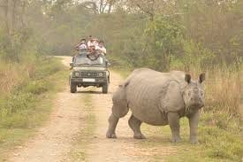 Kaziranga National Park the home to one-horned rhino: photo 1