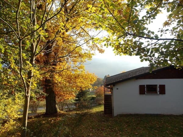 A visual journey of the French countryside: Valley of Munster: photo 1