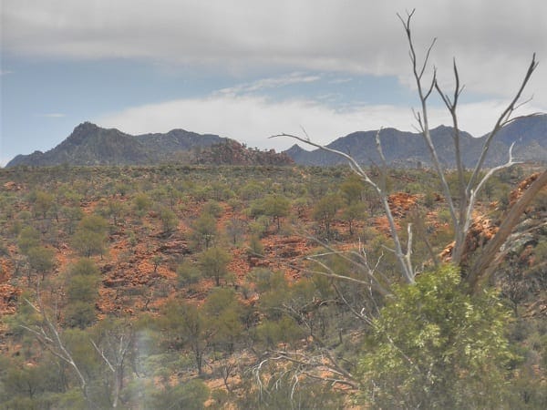 Flinders Ranges: Ancient earth and fascinating wildlife: photo 30