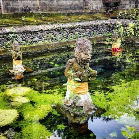 Bali : The Island Of The Gods: photo 4