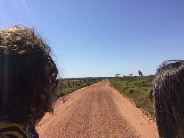 Bonito, Mato Grosso do Sul: 4 days of a road trip in Brazil: photo 5