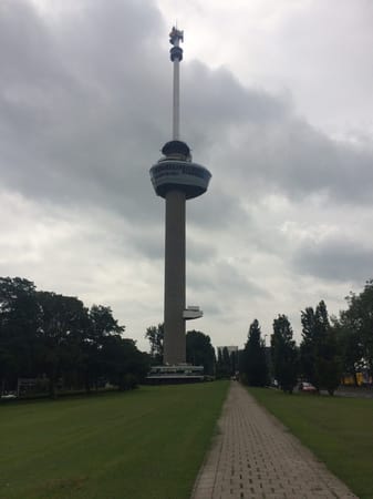 Rotterdam: A Day Guide: photo 3
