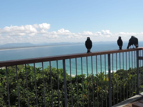 Byron Bay Lighthouse - More than a light on a rock: photo 5