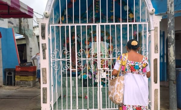 What to do in Downtown Cancun: photo 1