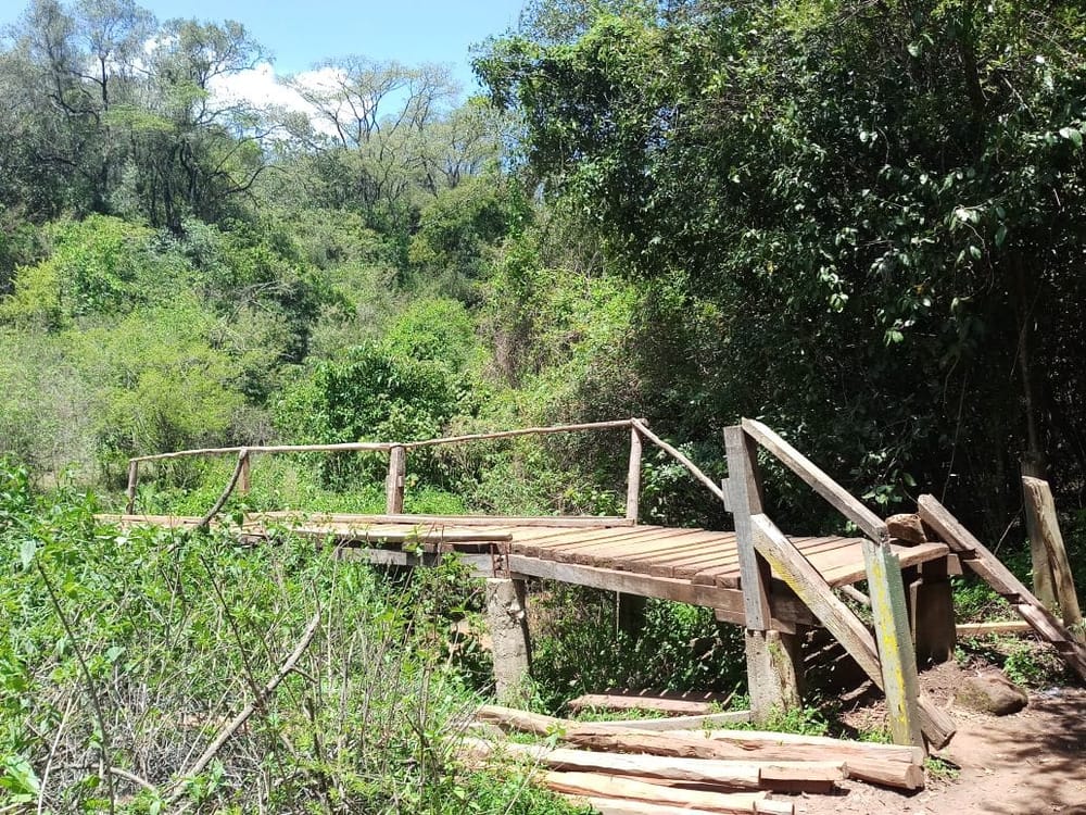 The Perfect Date With Nature; The Oloolua Nature Trail