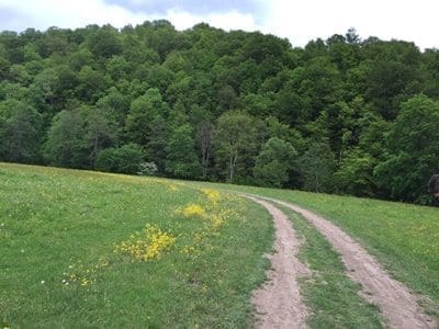 Covasna-Romania-Magic place, magic castle "Daniel Castle": photo 14