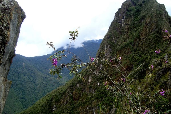 Visit  Machu Picchu-Wonder of the World: photo 1