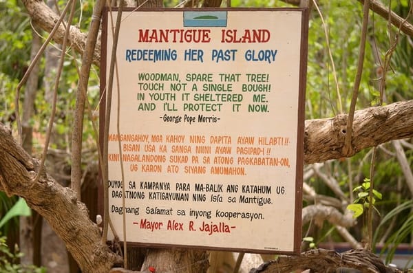 Island Escape near Cagayan de Oro City: Camiguin: photo 11
