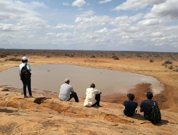 IN THE MIDST OF VOI TOWN: photo 2