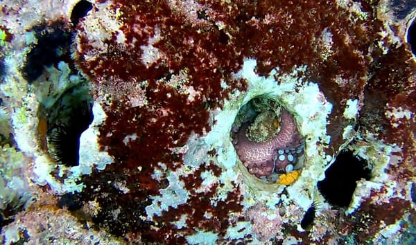 Isla San Cristobal, Galapagos – The full experience for less: photo 11