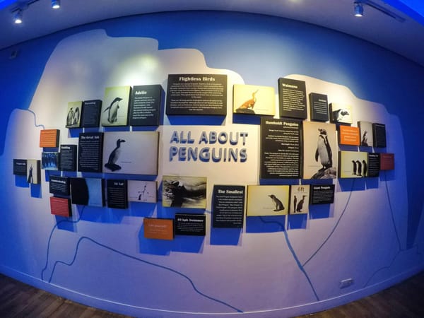 WONDER INSIDE THE OCEAN: Manila Ocean Park: photo 7