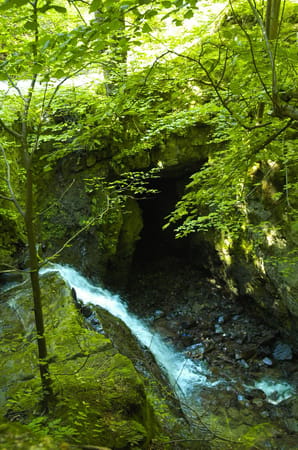 A Romanian Tale in the Cozia Mountains: photo 4