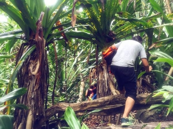 Experience the other side of Lang Tengah Island with LTTW: photo 15