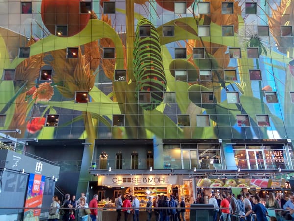 Top 5 cities to visit in the Netherlands: photo 6