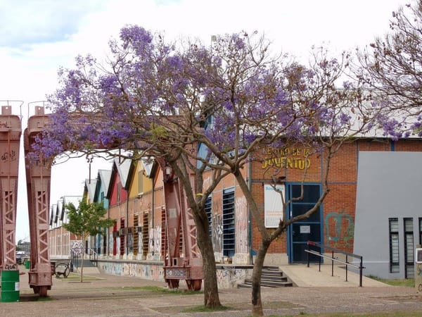 Rosario, Argentina. What to do, where to eat and sleep.: photo 5