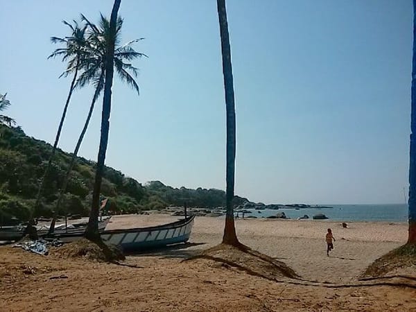 Goa: Living with locals: photo 2