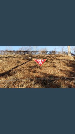 Korea: visting the demilitarized zone: photo 2