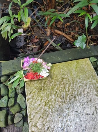 Where to go in Bali for 16 days: photo 1