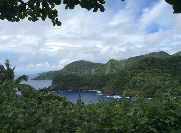 Four Reasons Why You Should Definitely Visit French Polynesia: photo 2