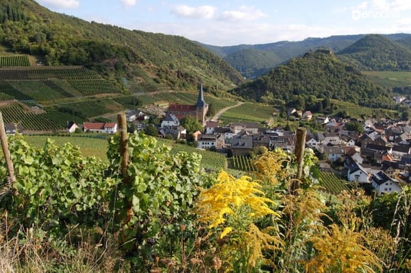 MY TRIP TO NORTH RHINE-WESTPHALIA, GERMANY: photo 5