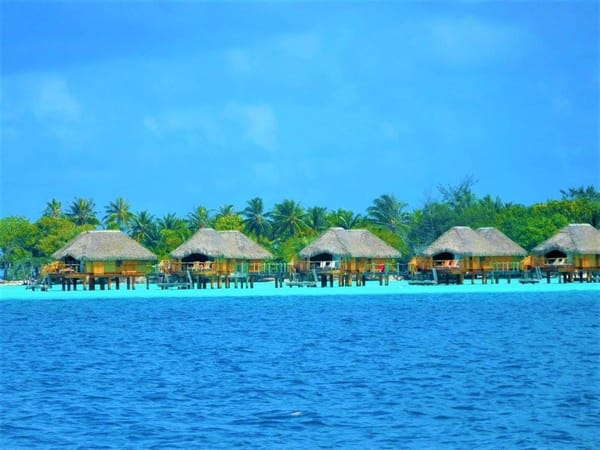 The Best Of Bora Bora: photo 11