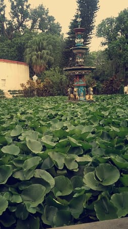 Udaipur - The land of royals: photo 13