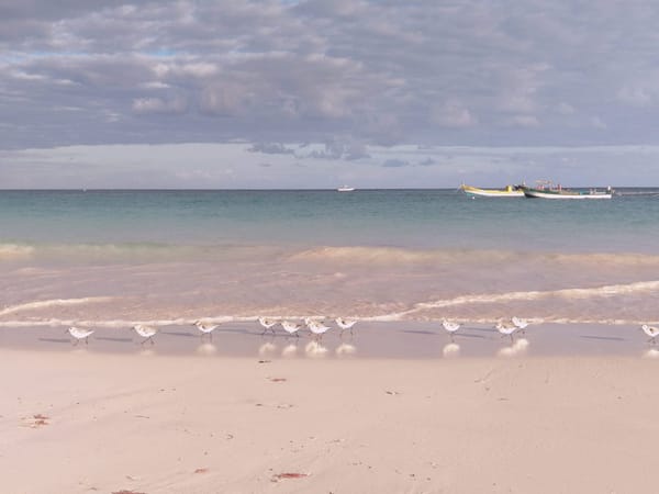 A local’s guide to Tulum: a jewel of Mexico’s Riviera Maya: photo 1
