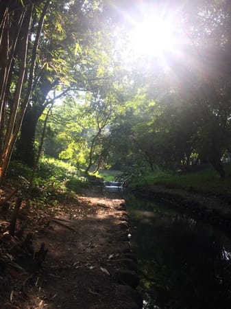 15 Places to Visit in Pune: photo 1