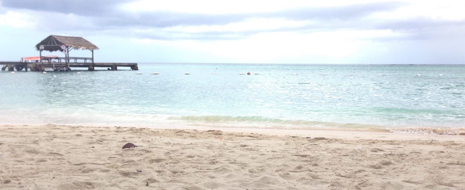 Tobago: The Perfect Island Getaway