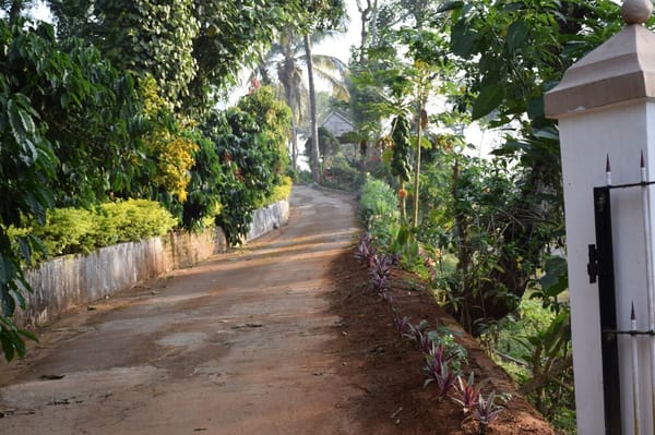COORG – The Scotland of India!: photo 4