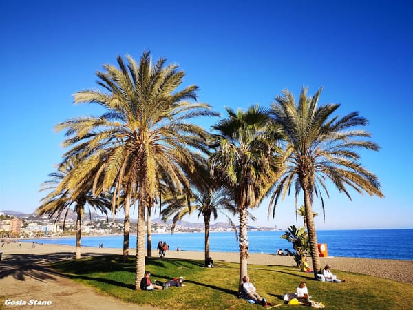 City Break In The “Sun Coast” Of Spain - Malaga: photo 2