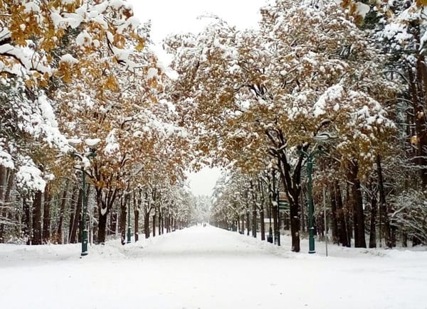 Welcome to Riga 101: tips from a local: photo 1