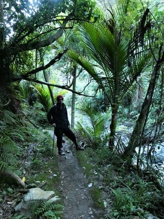 Golden Bay: Adventure playground for all: photo 21