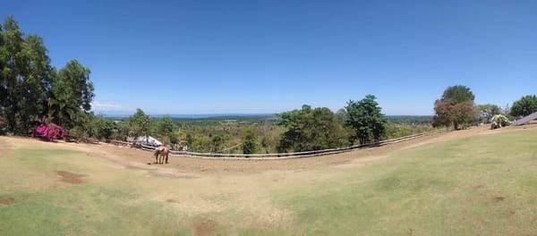 Explore Puerto Princesa in Just Three Days!: photo 7