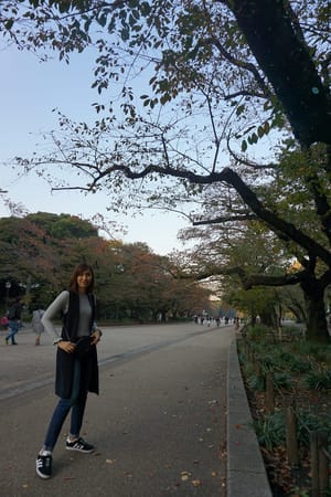 3 Days in Tokyo, Japan: A Travel Blog: photo 10