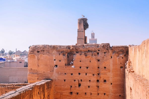 Two days in Marrakech: Souk and tajine in the Medina: photo 5