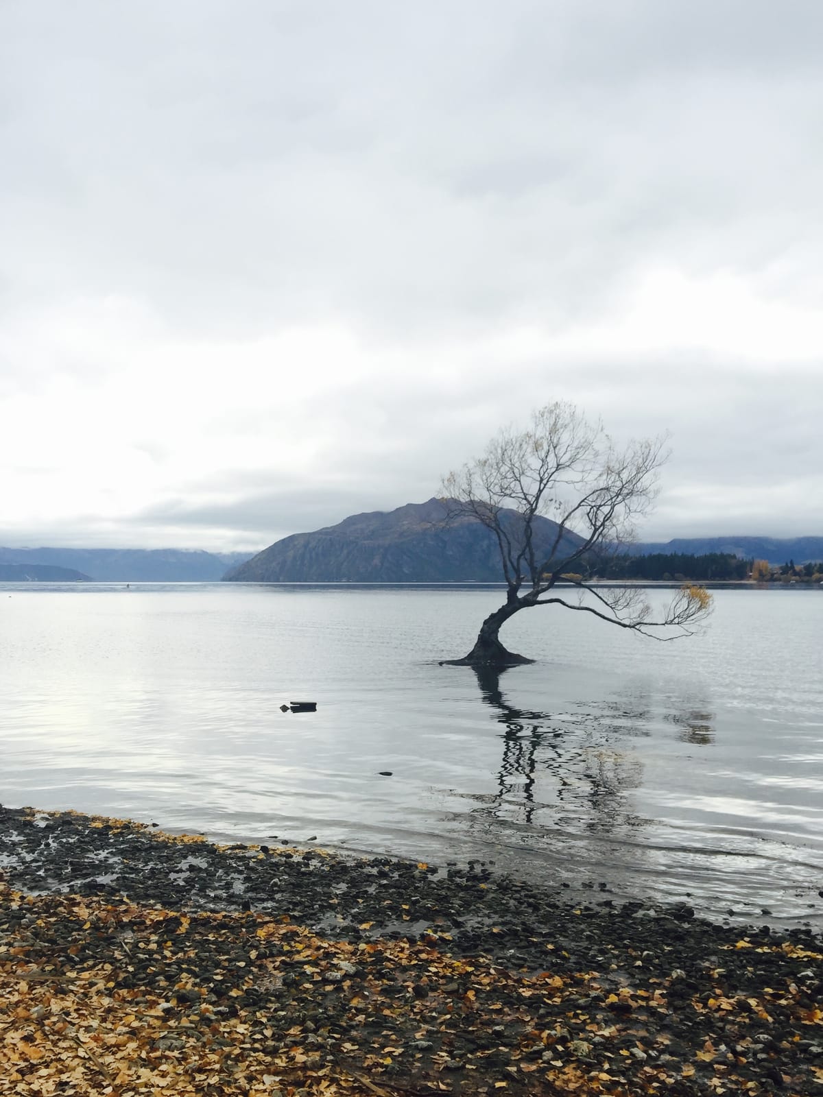 Wanaka Oh Wanaka