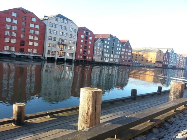 Trondheim, Norway: Northern lights and dog-sledding: photo 1