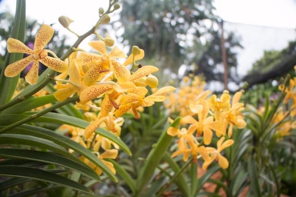 Singapore: Get Closer to Nature: photo 24
