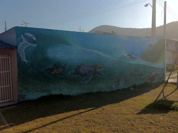 The Magic of Florianopolis: photo 6