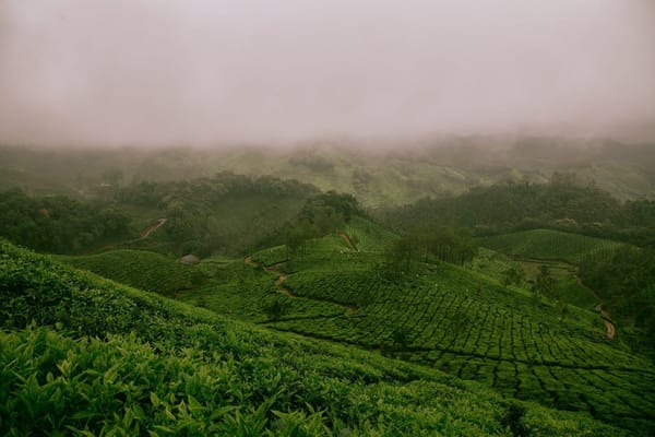 A Trip to Munnar in Kerala India: photo 1