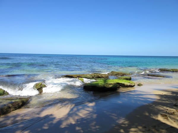 Caribbean Vibes and Pura Vida - Puerto Viejo: photo 5