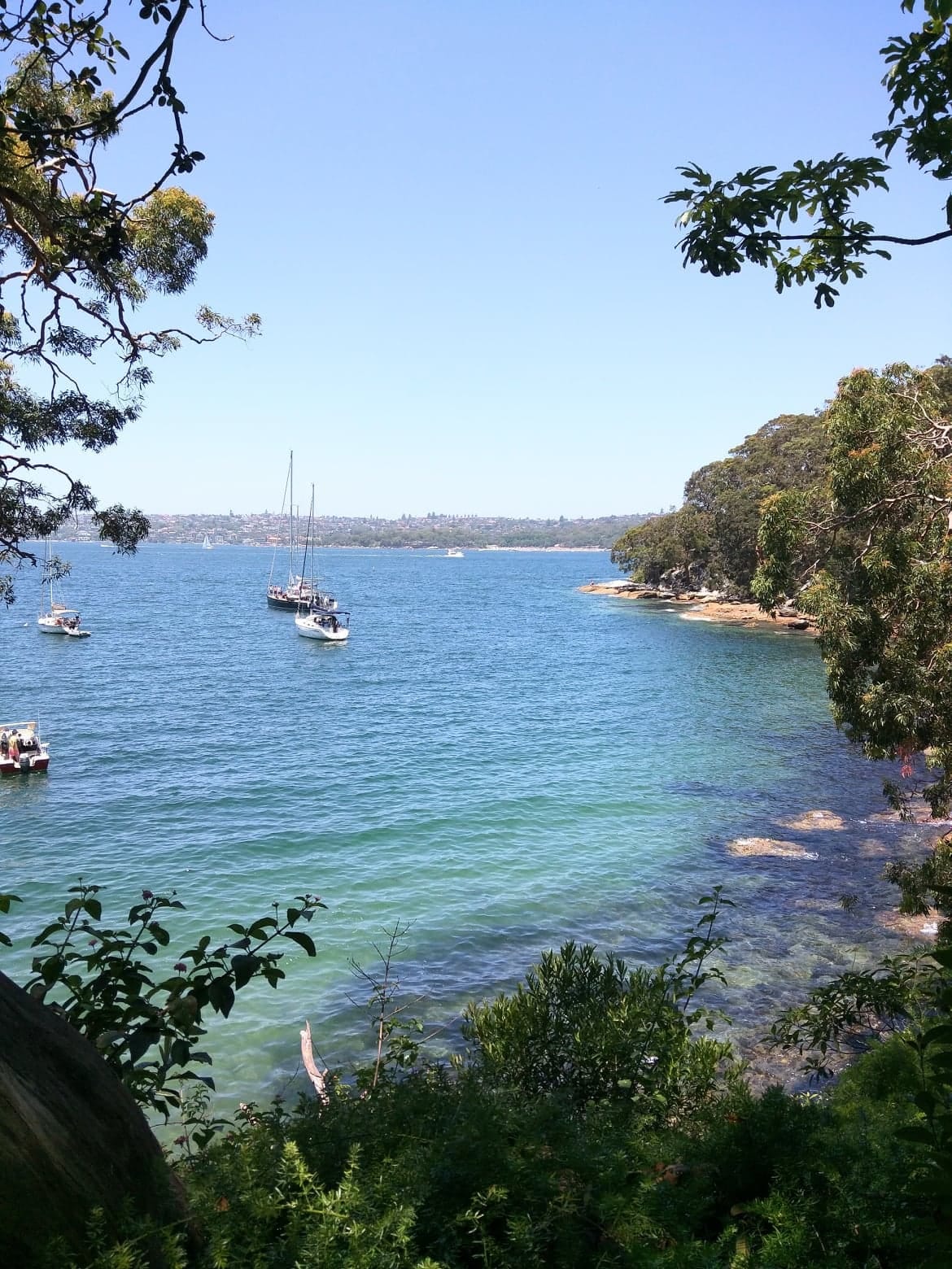 Top 5 things to do in Mosman, Sydney