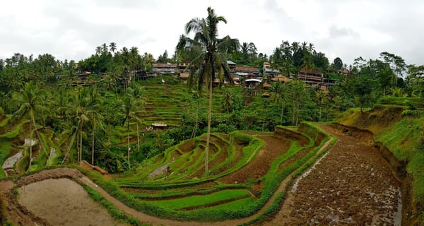 Things to do in Ubud, Bali, Indonesia: photo 1