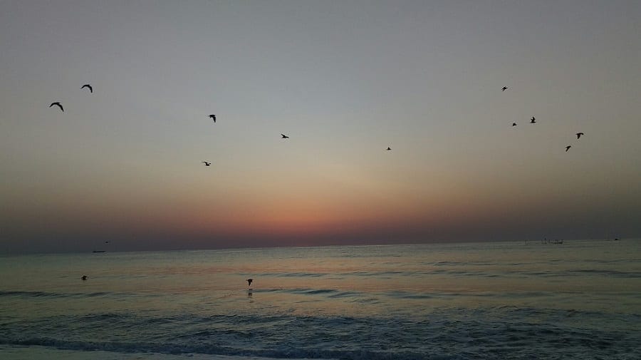 How to enjoy your trip to Vama Veche