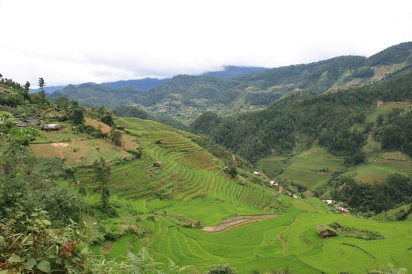 The Valley Verdure of Mù Cang Chải: photo 1