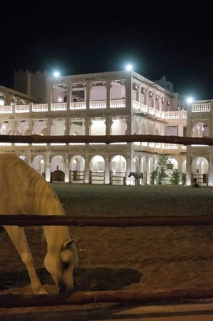 72 Hours in Qatar: photo 5