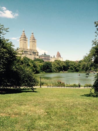 A Guide to New York City: photo 6