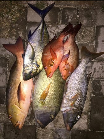Budget Travel In The Maldives: photo 2