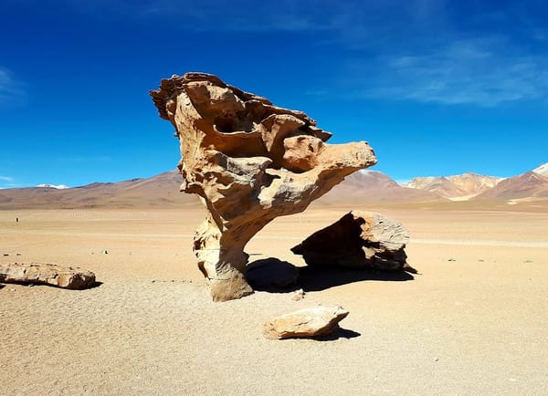 The Gem of the Andes: Eduardo Abaroa National Reserve, Bolivia: photo 6